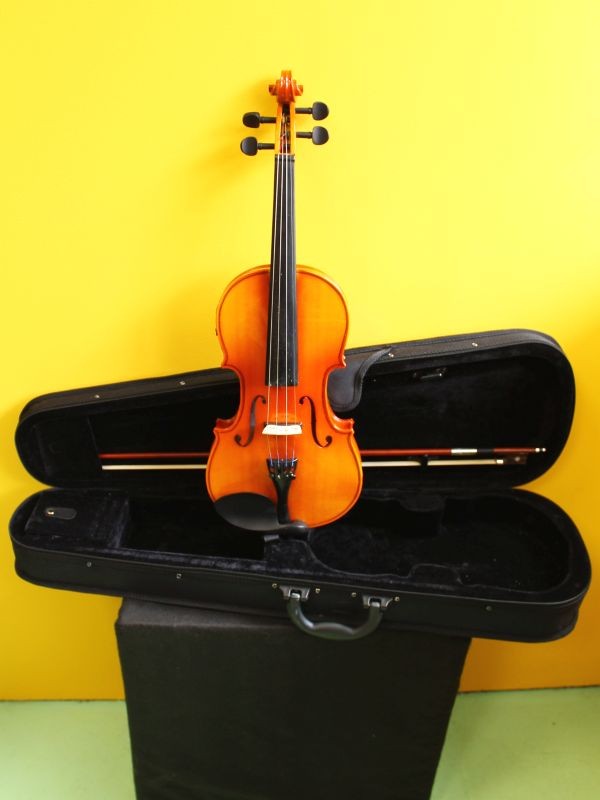 Stagg VN-ELEC Electroacoustic Violin